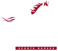 The Dynamo Stud